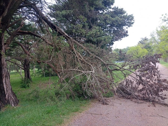 Nueva alerta amarilla por viento afecta a Olavarra